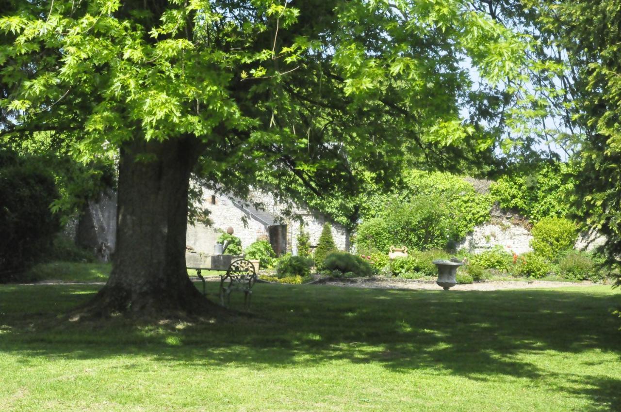 Chateau De St Sauveur D'Émalleville Kültér fotó
