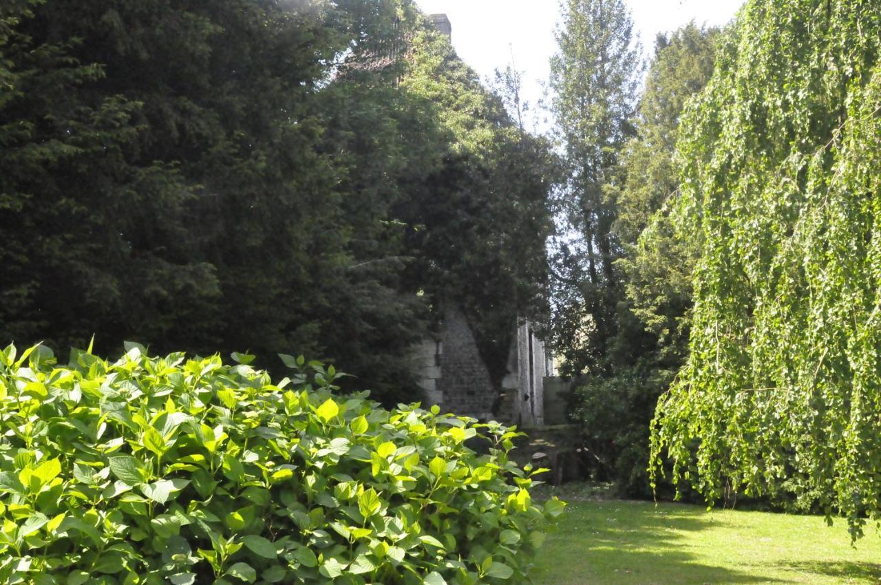 Chateau De St Sauveur D'Émalleville Kültér fotó
